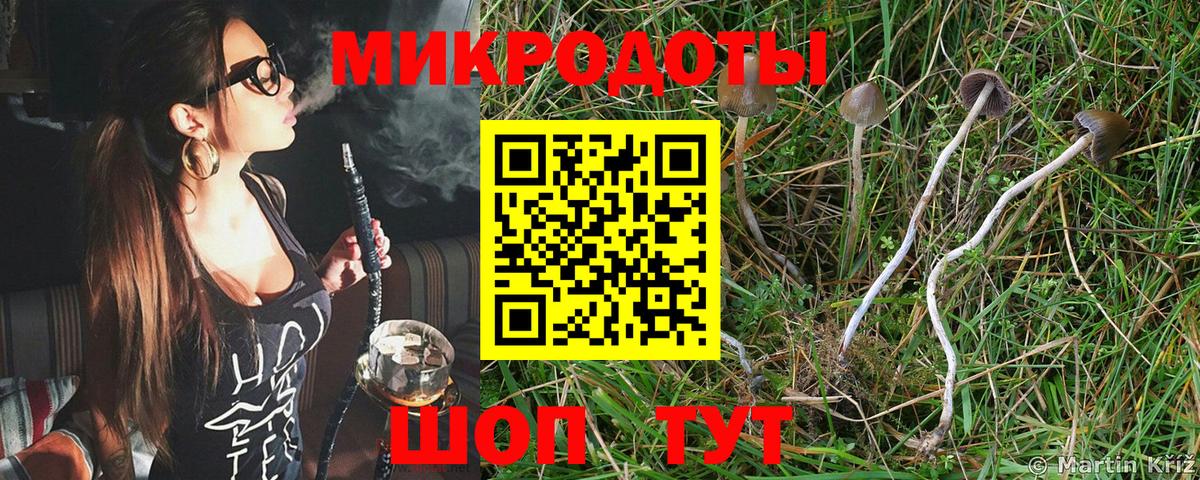 Галлюциногенные грибы MAGIC MUSHROOMS  хочу   Рубцовск  Вход с VPN 